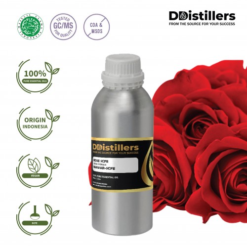 Rose / Mawar SCFE Essential Oil Pure 100% | Rose hybrida