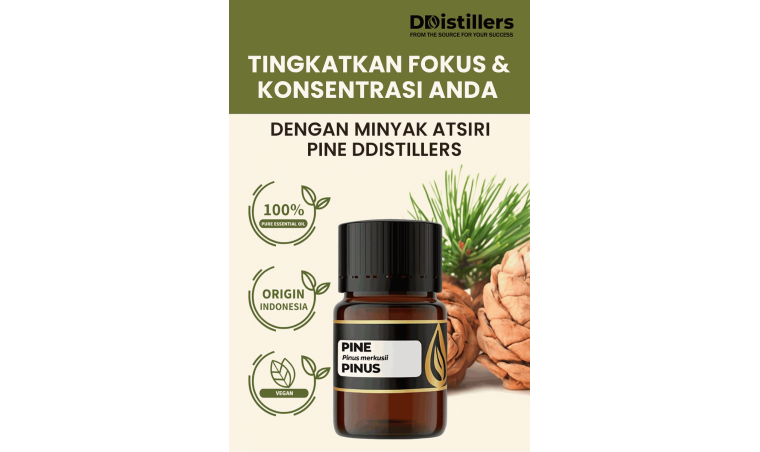 Enhance Your Focus & Concentration with DDistillers Pine Essential Oil