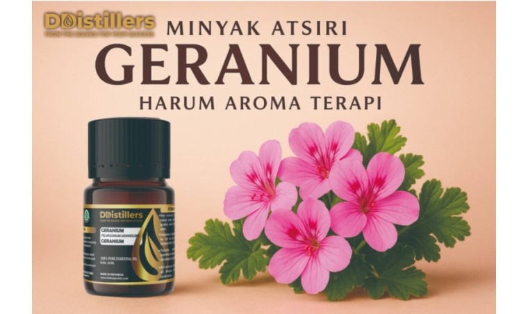 Fragrant Geranium Essential Oil Aromatherapy: Benefits and Uses from DDistillers