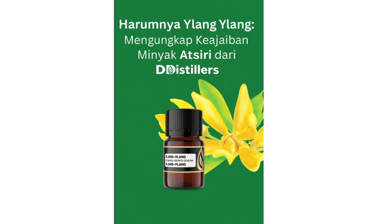The Fragrance of Ylang Ylang: Unveiling the Wonders of Essential Oil from DDistillers