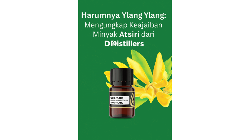 The Fragrance of Ylang Ylang: Unveiling the Wonders of Essential Oil from DDistillers