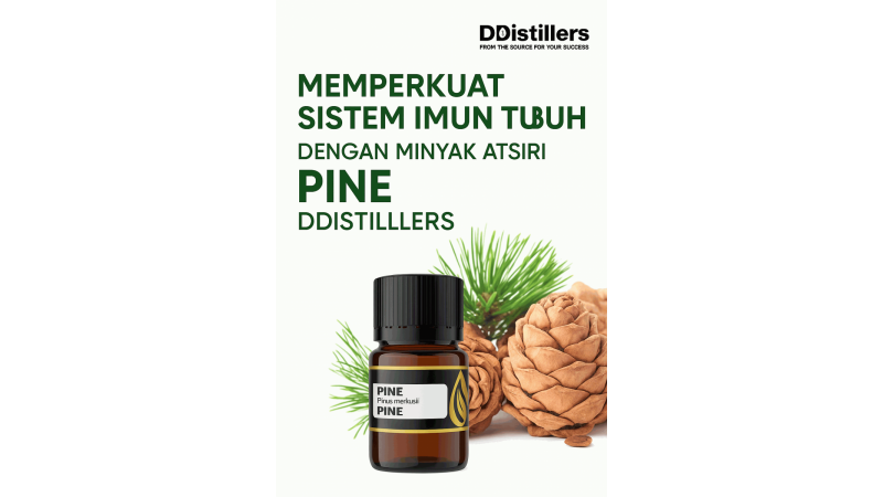 Strengthening the Immune System with DDistillers Pine Essential Oil
