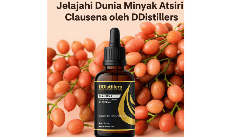 More Than Just a Scent: Explore the World of Clausena Essential Oil by DDistillers