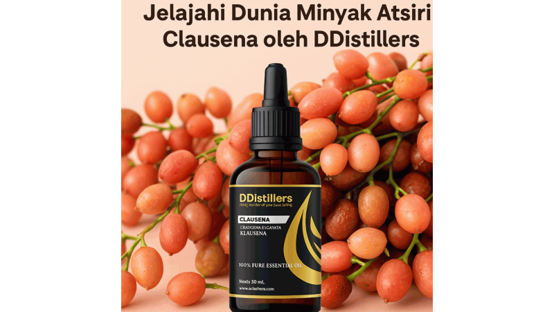 Lebih dari Sekedar Aroma: Jelajahi Dunia Minyak Atsiri Clausena oleh DDistillers