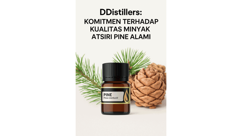 DDistillers: Komitmen Terhadap Kualitas Minyak Atsiri Pine Alami