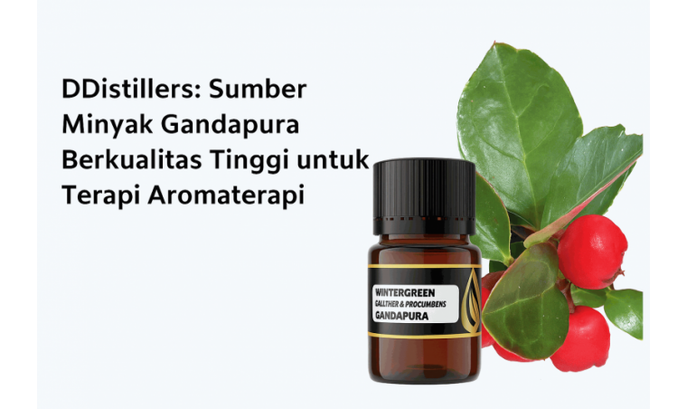 DDistillers: A Premium Source of Camphor Oil for Aromatherapy Therapy