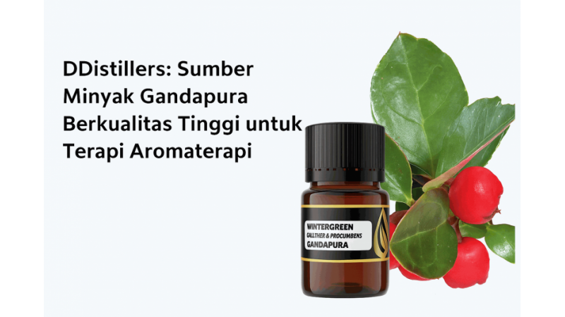 DDistillers: A Premium Source of Camphor Oil for Aromatherapy Therapy