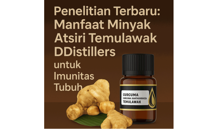 Latest Research: The Benefits of DDistillers Temulawak Essential Oil for Immune System Support Latest Research: The Benefits of DDistillers Temulawak Essential Oil for Immune System Support