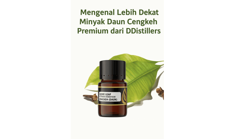 Getting to Know DDistillers’ Premium Clove Leaf Oil Better Getting to Know DDistillers’ Premium Clove Leaf Oil Better