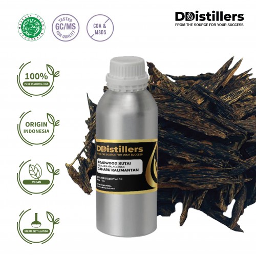 Agarwood Kutai / Gaharu Kalimantan Essential Oil Pure 100% | Aquilaria malaccensis