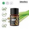 10ML GS 
