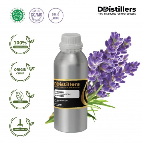 Lavender / Lavender Essential Oil Pure 100% | Lavandula angustifolia Mill./Lavandula officinalis Chaix