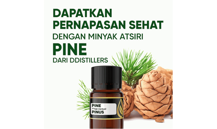 Achieve Healthy Breathing with DDistillers Pine Essential Oil