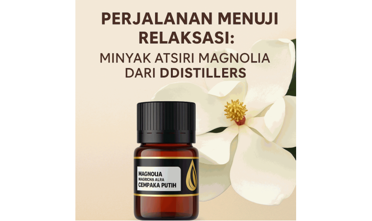 The Journey to Relaxation: Magnolia Essential Oil from DDistillers