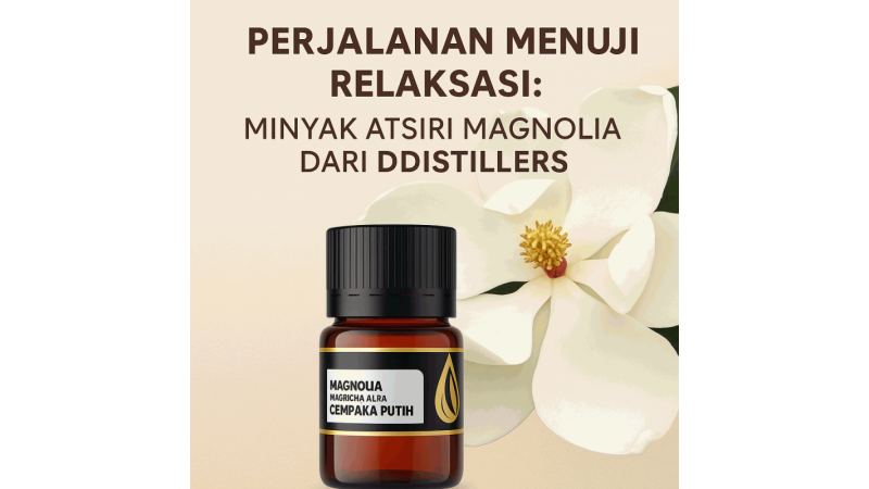 The Journey to Relaxation: Magnolia Essential Oil from DDistillers
