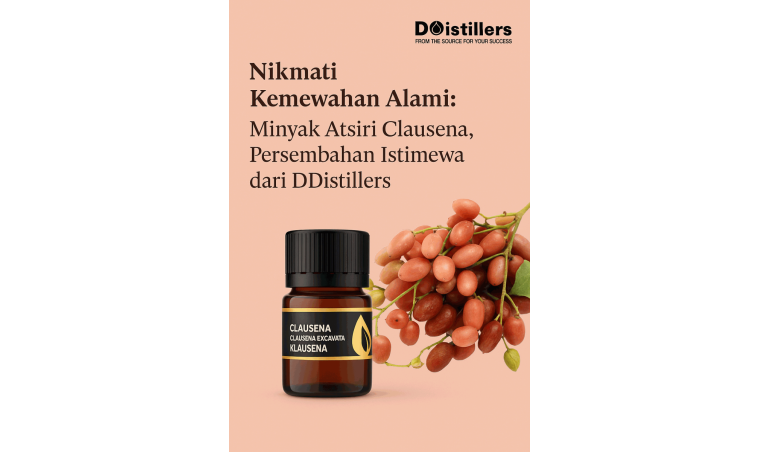Enjoy Natural Luxury: Clausena Essential Oil, a Special Offering from DDistillers