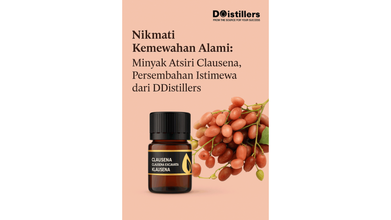Enjoy Natural Luxury: Clausena Essential Oil, a Special Offering from DDistillers