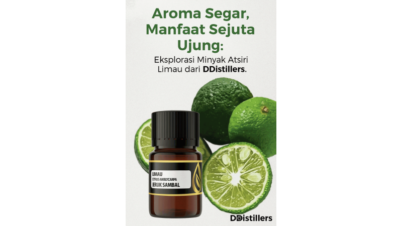 Aroma Segar, Manfaat Sejuta Ujung: Eksplorasi Minyak Atsiri Limau dari DDistiller
