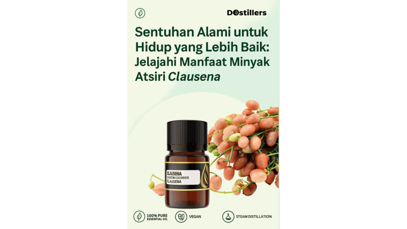Sentuhan Alami untuk Hidup yang Lebih Baik: Jelajahi Manfaat Minyak Atsiri Clausena