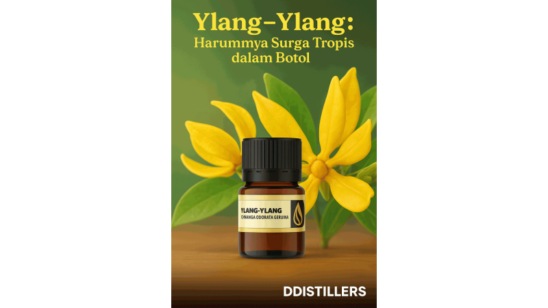 Ylang-Ylang: The Fragrance of a Tropical Paradise in a Bottle (DDistillers)