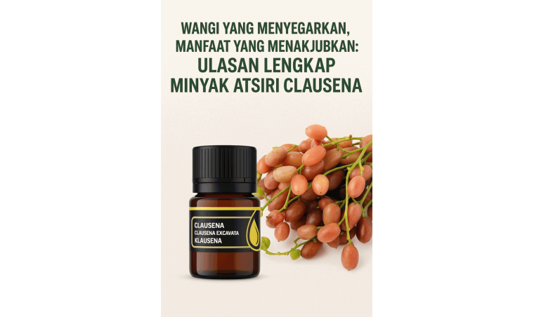 Refreshing Scent, Amazing Benefits: A Complete Review of Clausena Essential Oil