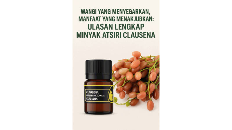 Wangi yang Menyegarkan, Manfaat yang Menakjubkan: Ulasan Lengkap Minyak Atsiri Clausena