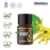 Cananga (Java) / Kenanga Jawa Essential Oil Pure 100%, 2-10ML GS