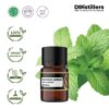 Peppermint (Cornmint) / Cornmint Essential Oil Pure 100%, 2-10ML GS
