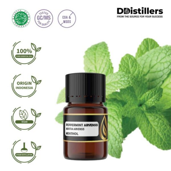 Peppermint (Cornmint) / Cornmint Essential Oil Pure 100%, 2-10ML GS