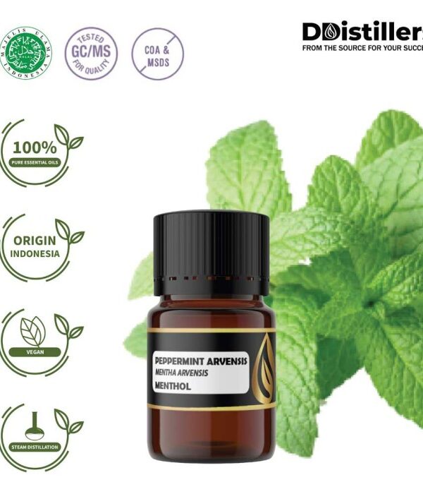 Peppermint (Cornmint) / Cornmint Essential Oil Pure 100%, 2-10ML GS
