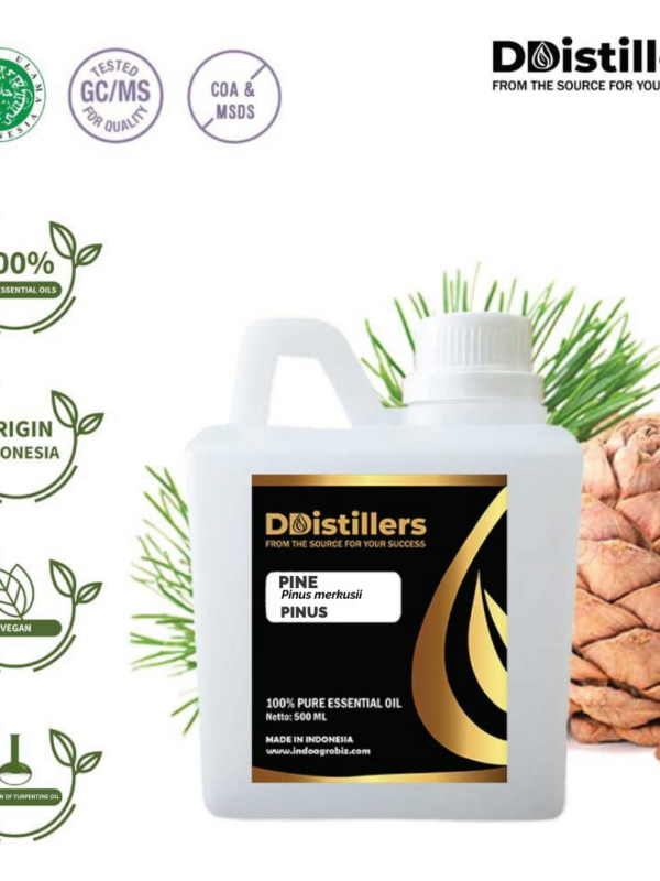 Pine / Pinus Essential Oil Pure 100%, 500ML-1L HDPE/SS