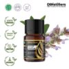 Clary Sage / Langon Kleri Essential Oil Pure 100%, 2-10ML GS