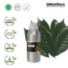 Nutmeg Leaf / Daun Pala Essential Oil Pure 100%, 500ML-1L HDPE/SS