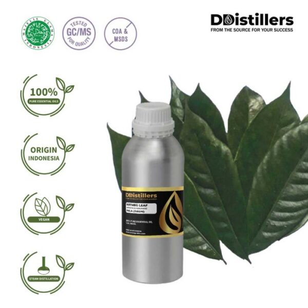 Nutmeg Leaf / Daun Pala Essential Oil Pure 100%, 500ML-1L HDPE/SS