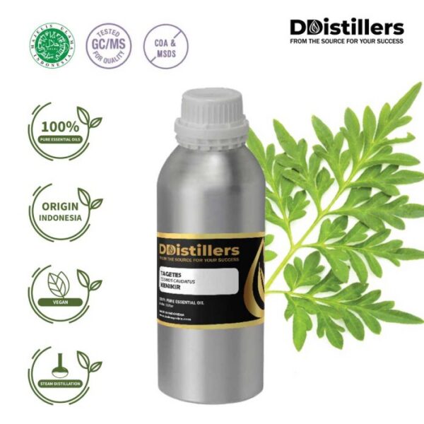 Tagetes Marigold / Kenikir Hias / Bunga Marigold Essential Oil Pure 100%, 500ML-1L HDPE/SS