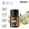 Frangipani / Kamboja Absolute Oil Pure 100%, 2-10ML GS