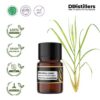 Citronella (Java) / Sereh Wangi Mahapengiri Essential Oil Pure 100%, 2-10ML GS