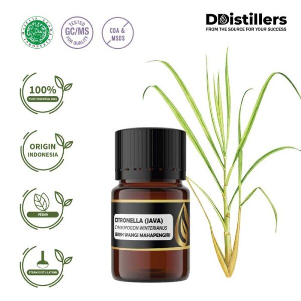 Citronella (Java) / Sereh Wangi Mahapengiri Essential Oil Pure 100%, 2-10ML GS