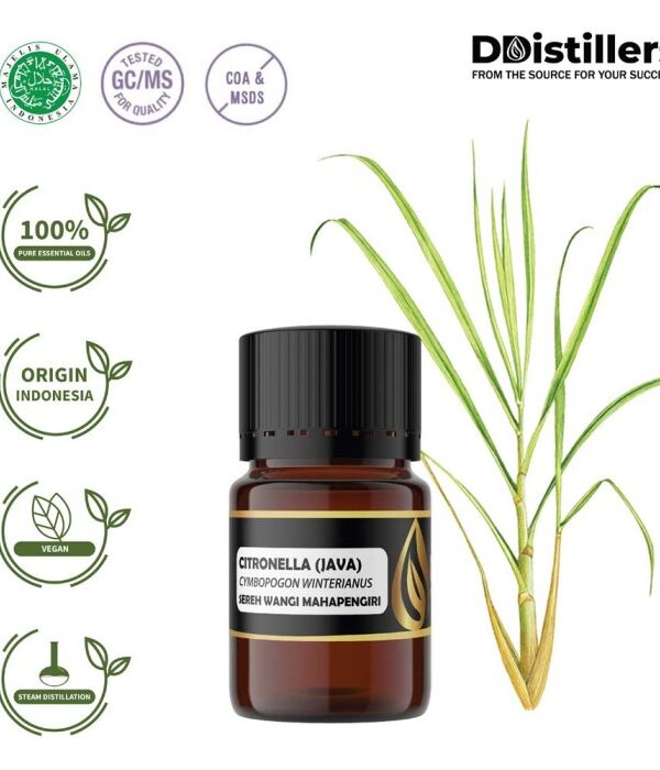 Citronella (Java) / Sereh Wangi Mahapengiri Essential Oil Pure 100%, 2-10ML GS
