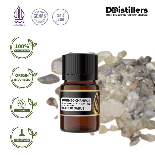 Borneo Champor / Kapur Barus Essential Oil Pure 100%, 2-10ML GS