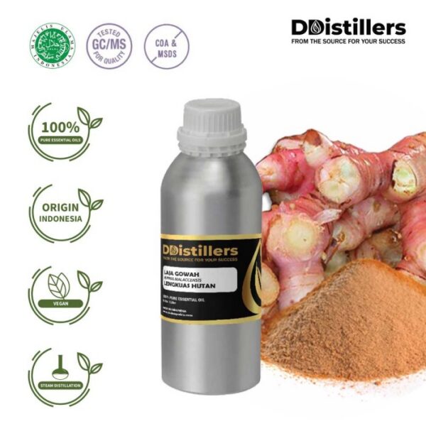 Lajagowah / Lengkuas Hutan Essential Oil Pure 100%, 500ML-1L HDPE/SS
