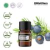 Juniper Berry / Juniper Berry Essential Oil Pure 100%, 2-10ML GS