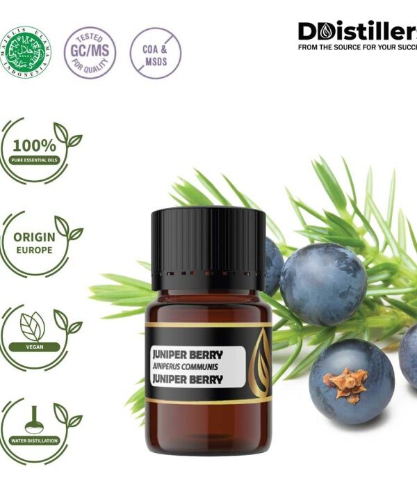 Juniper Berry / Juniper Berry Essential Oil Pure 100%, 2-10ML GS