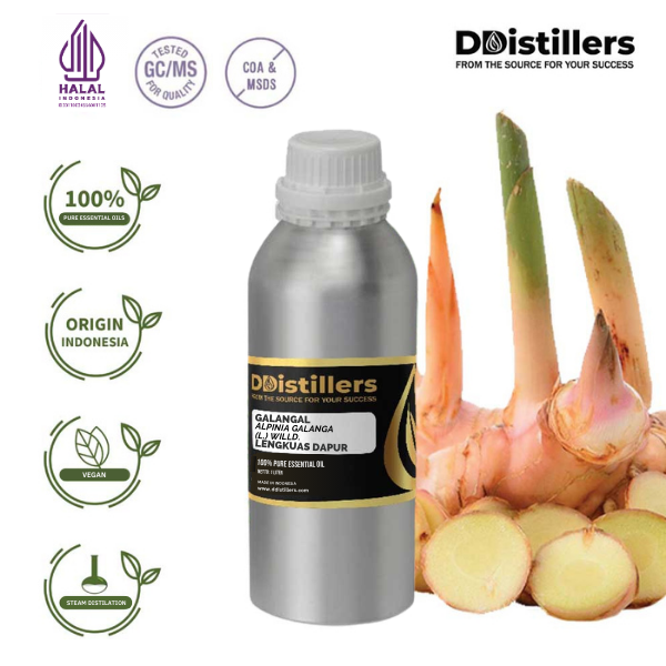 0a91d52eea7343a99f80e203f8dc4930.png Galangal / Lengkuas Dapur Essential Oil Pure 100%, 500ML-1L HDPE/SS