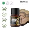 Sandalwood (Kupang) / Cendana NTT Essential Oil Pure 100%, 2-10ML GS