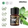 Gurjun Dark / Keruing Essential Oil Pure 100%, 2-10ML GS