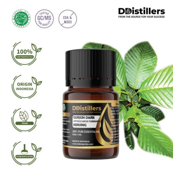 Gurjun Dark / Keruing Essential Oil Pure 100%, 2-10ML GS