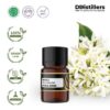 Neroli / Bunga Jeruk Essential Oil Pure 100%, 2-10ML GS