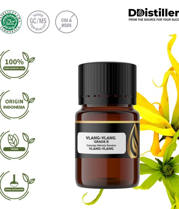 Ylang-Ylang / Kenanga Grade B Essential Oil Pure 100%, 2-10ML GS