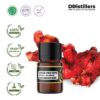 Ginger (Red SCFE) / Jahe Merah Essential Oil Pure 100%, 2-10ML GS